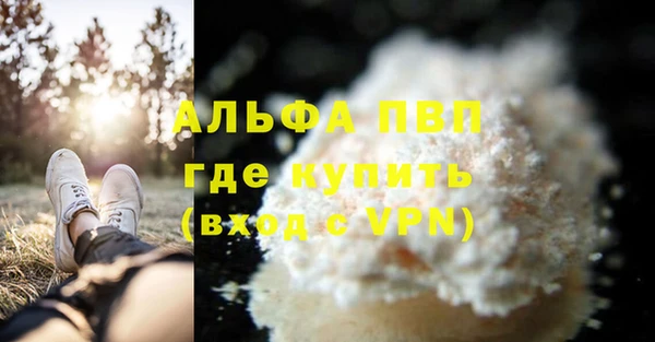 2c-b Бородино
