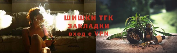 2c-b Бородино