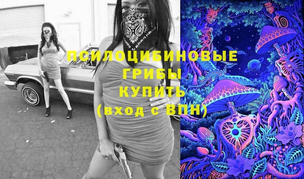 2c-b Бородино