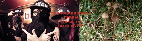 2c-b Бородино