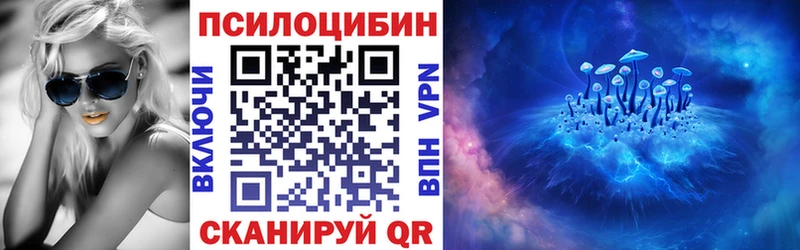 Псилоцибиновые грибы Psilocybe omg tor Дорогобуж