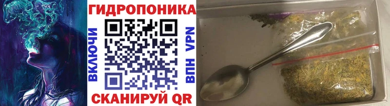 Бошки марихуана сатива  Дорогобуж 
